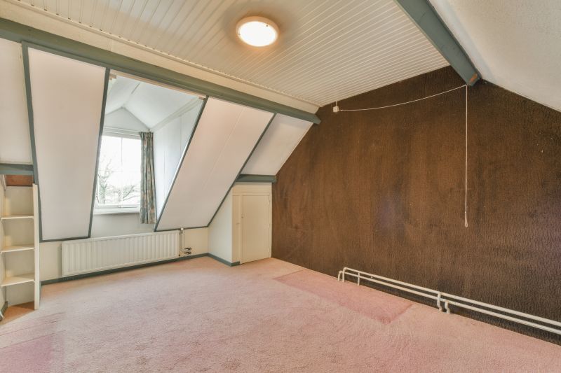 Attic After Cleaning