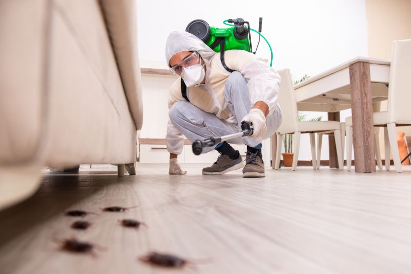 Pest Control Experts